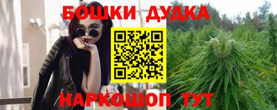 бошки Сланцы