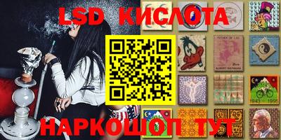бошки Сланцы