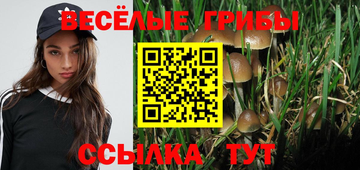 Реутов  где можно купить   Вход с VPN  Псилоцибиновые грибы GOLDEN TEACHER 